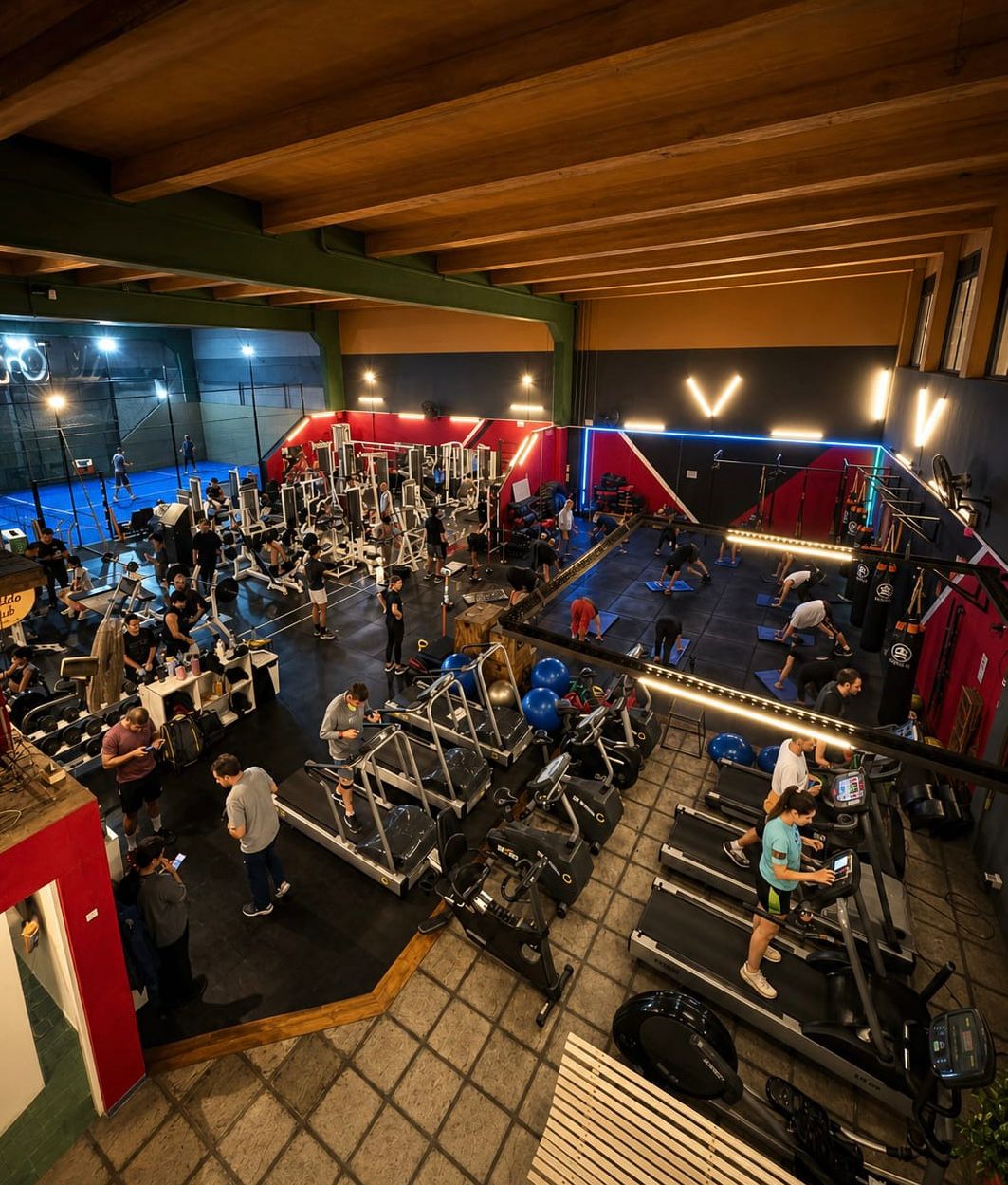 Musculación